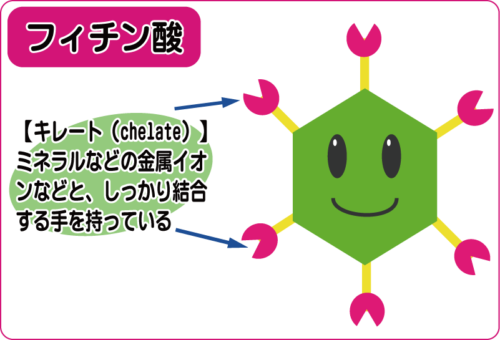 フィチン酸